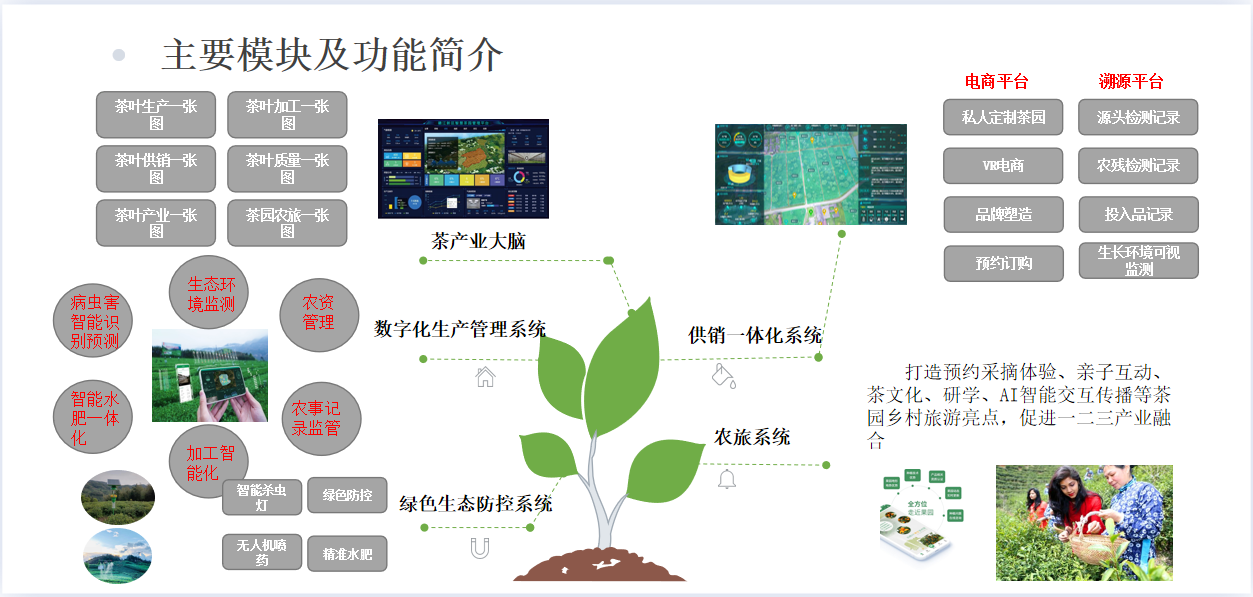 亿码慧茶场