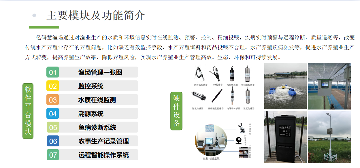 亿码慧渔场