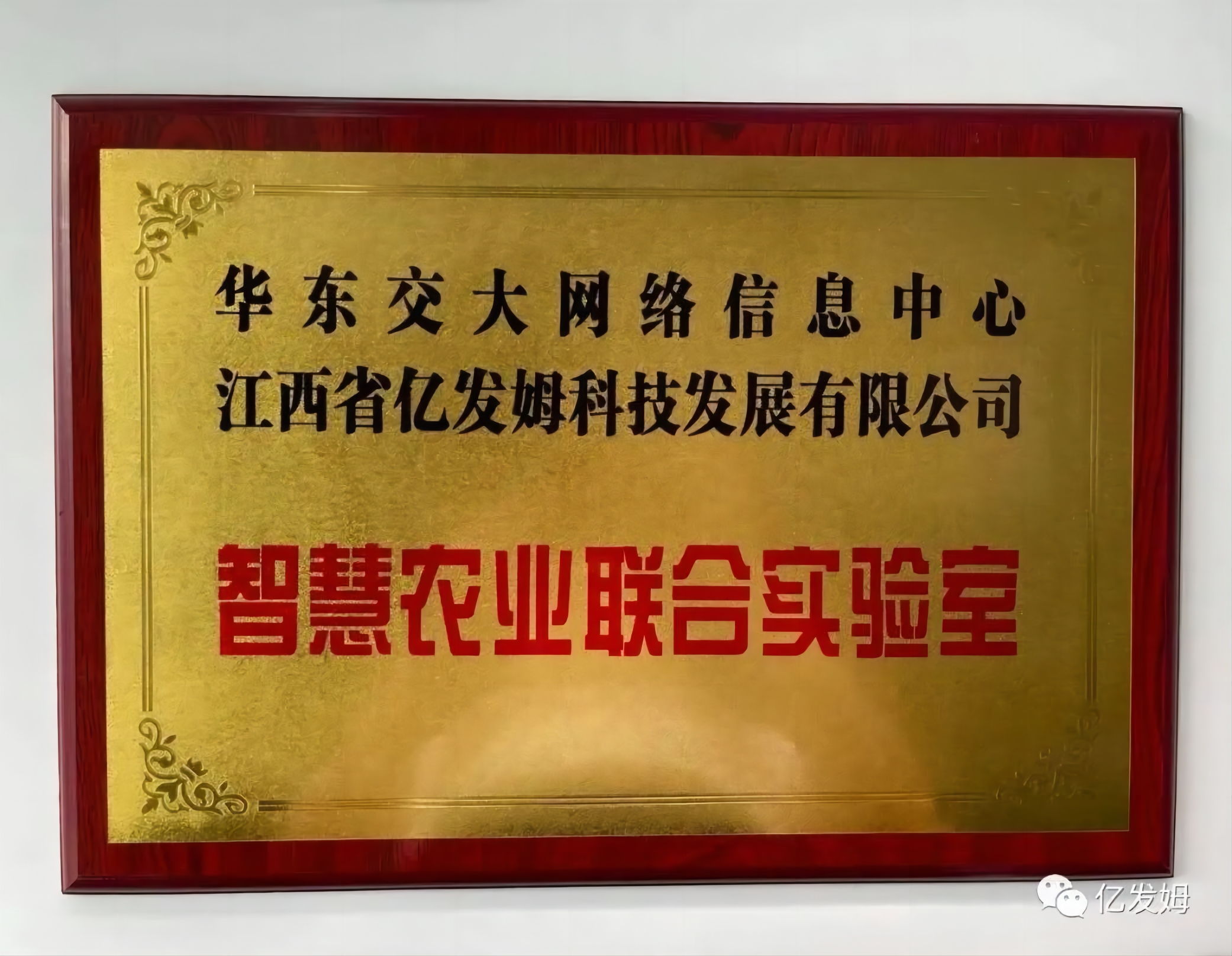 校企合作！华东交大&亿发姆智慧农业联合实验室成立！