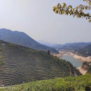 春忙渐浓 亿发姆数字农业调研正当时
